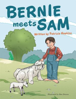 Cover of the book Bernie Meets Sam by Ann Jones Crabbe, Dezmond Murell, Marcos Moten Jr.