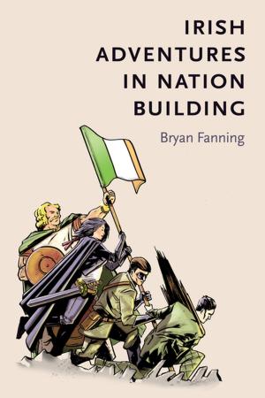 Cover of the book Irish adventures in nation-building by Daniel Weinbren