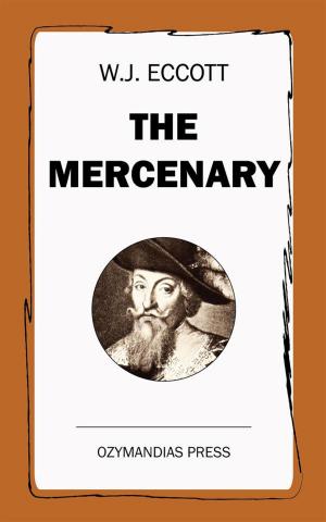Cover of the book The Mercenary by S.M. Tenneshaw