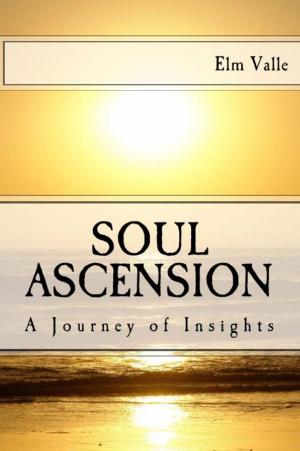 Cover of the book Soul Ascension: A Journey of Insights by S. Kelley Harrell