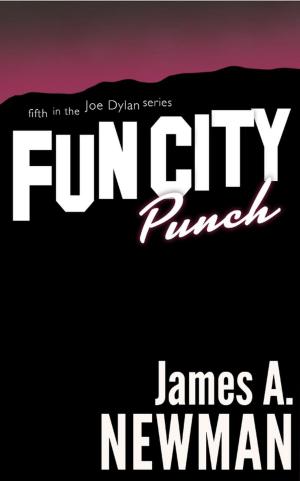 Book cover of Fun City Punch