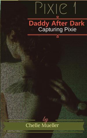 Cover of the book Capturing Pixie by Géraldine Vibescu