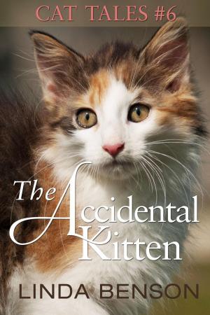 Book cover of The Accidental Kitten