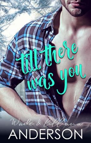 Cover of the book Till There Was You by Lilly Barrett