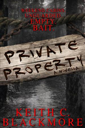Cover of the book Private Property by Keith C Blackmore