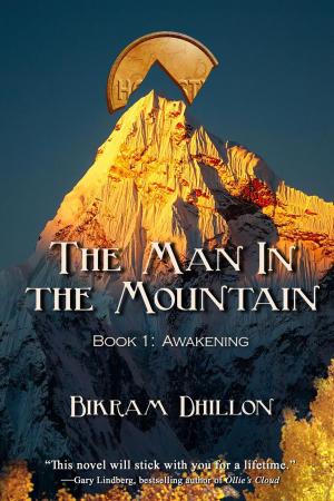 Cover of the book The Man in the Mountain by Robert Moss