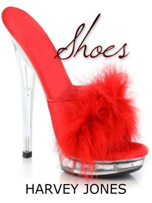 Book cover of Shoes