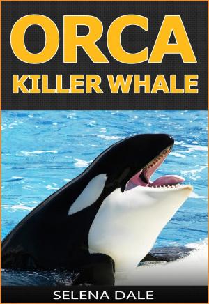Cover of Orca - Killer Whale