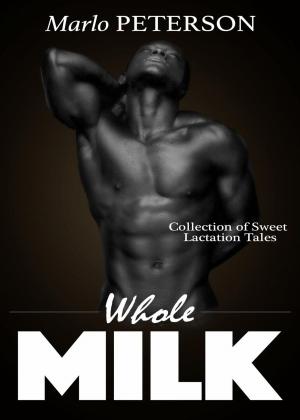 Cover of the book Whole Milk: Collection of Sweet Lactation Tales by Casey Kilrain