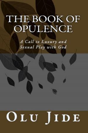 bigCover of the book The Book of Opulence by 