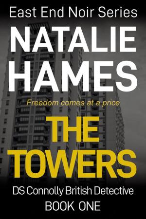 Cover of the book The Towers - DS Connolly - Book One by Aaron Mahnke