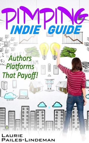 Cover of the book Pimping Indie Guide by Julie Farmer