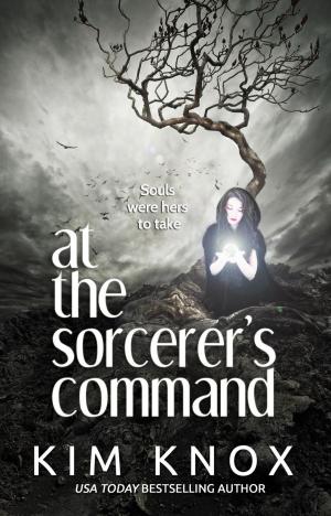 Cover of the book At the Sorcerer's Command by Augustina Van Hoven