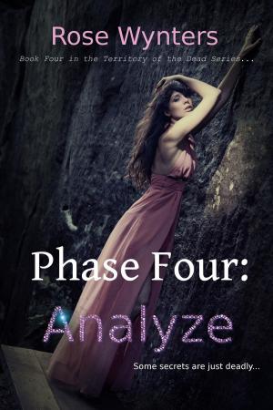 Cover of the book Phase Four: Analyze by Leslie Dushane