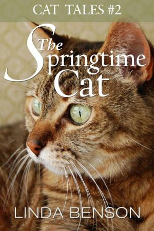 Cover of The Springtime Cat