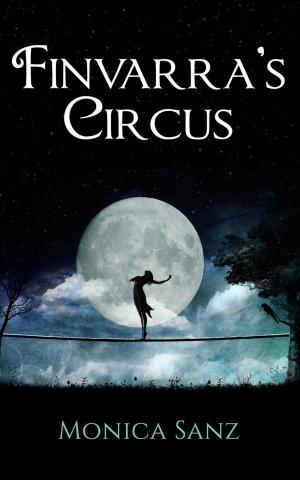 Cover of the book Finvarra's Circus by David Ulnar-Slew