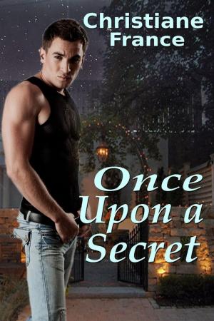 Cover of the book Once Upon A Secret by Christiane France