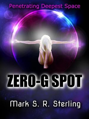 Cover of the book Zero-G Spot by K. Llewellin
