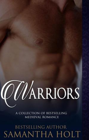 Cover of the book Warriors by J.A. Bailey