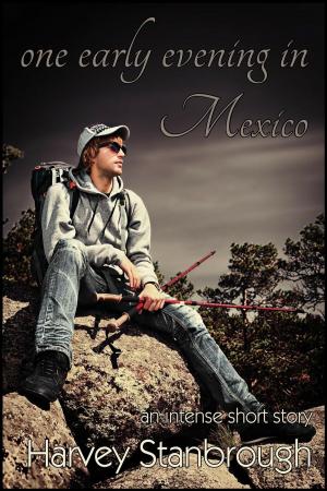 Cover of the book One Early Evening in Mexico by Bev Pettersen