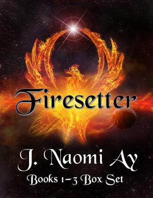 Cover of the book Firesetter Books 1-3 Box Set by Anthony Clark