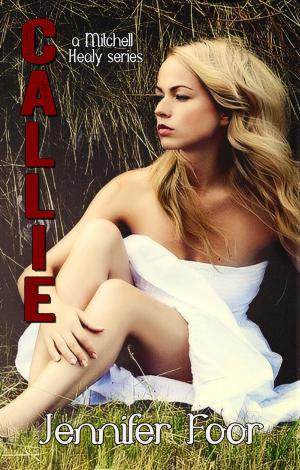 Cover of the book Callie Healy by Guy Didelez