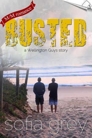 Cover of the book Busted by Stella Austin, George Roux