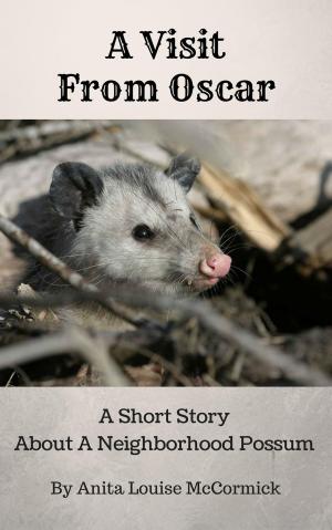 Book cover of A Visit From Oscar: A Short Story About A Neighborhood Possum