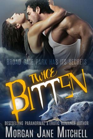 Book cover of Twice Bitten