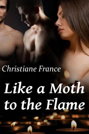 Cover of the book Like A Moth To The Flame by Christiane France