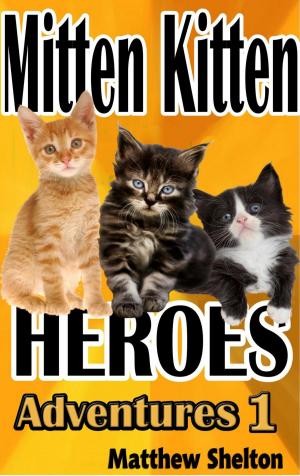 Cover of the book Mitten Kittens Heroes by Dennis Frankel