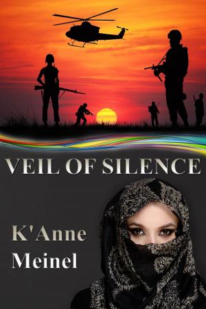 Cover of the book Veil of Silence by Jen McConnel
