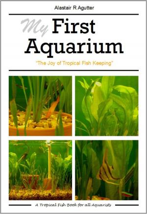 Book cover of My First Aquarium Book