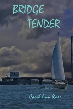 Cover of the book Bridge Tender by UD Sandberg