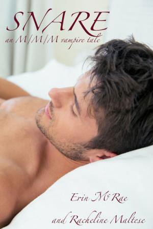 Cover of the book Snare by Eris Kelli