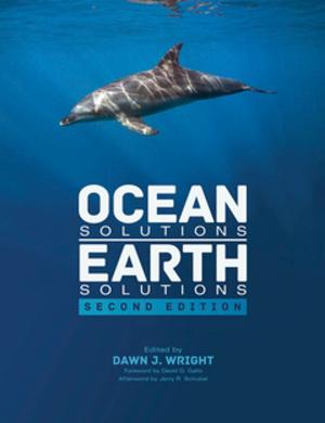 Cover of the book Ocean Solutions, Earth Solutions by Pinde Fu
