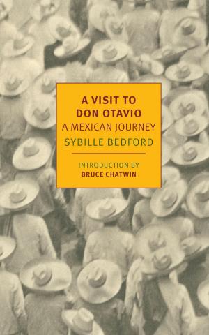 Book cover of A Visit to Don Otavio