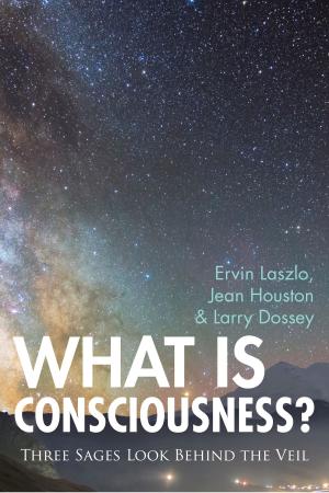 bigCover of the book What is Consciousness? by 