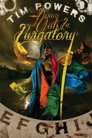 Cover of the book Down and Out In Purgatory by Catherynne M. Valente