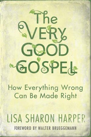 Cover of the book The Very Good Gospel by Eric Wilson