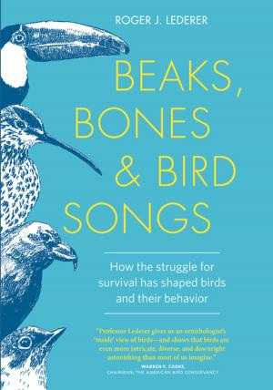 Cover of the book Beaks, Bones and Bird Songs by Jo Whitworth, Noel Kingsbury