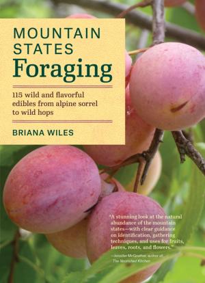 Cover of the book Mountain States Foraging by Robert Llewellyn, Joan Maloof