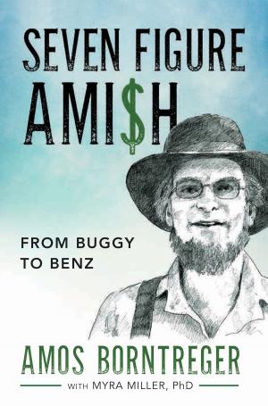 Cover of Seven Figure Ami$h: From Buggy to Benz
