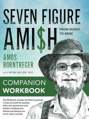Cover of Seven Figure Ami$h: From Buggy to Benz - Companion Book