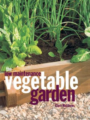bigCover of the book The Low Maintenance Vegetable Garden by 