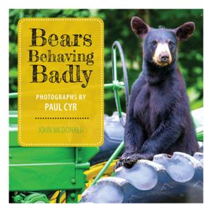 Cover of the book Bears Behaving Badly by 凱倫．萊格特．阿伯拉雅 Karen Leggett Abouraya