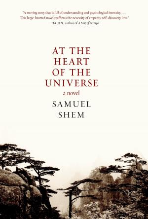 Cover of the book At the Heart of the Universe by Russell Banks