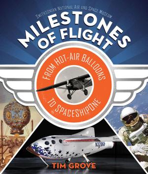 Cover of the book Milestones of Flight by Frank Cammuso