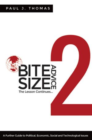 Cover of the book Bite Size Advice 2 by Jeff Snyder