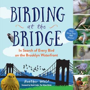 Cover of the book Birding at the Bridge by Philip Hook